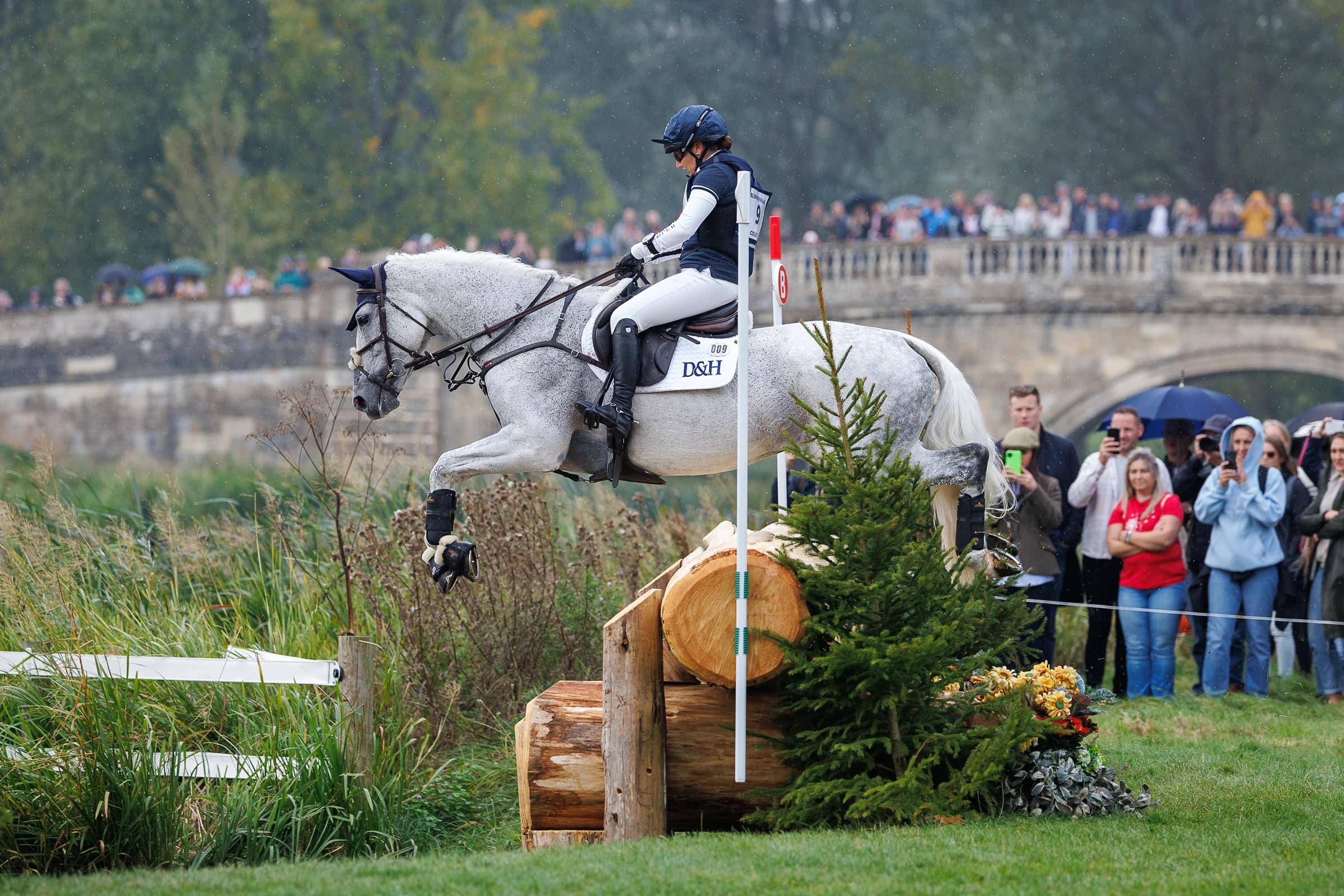 Horse jumping over barrier