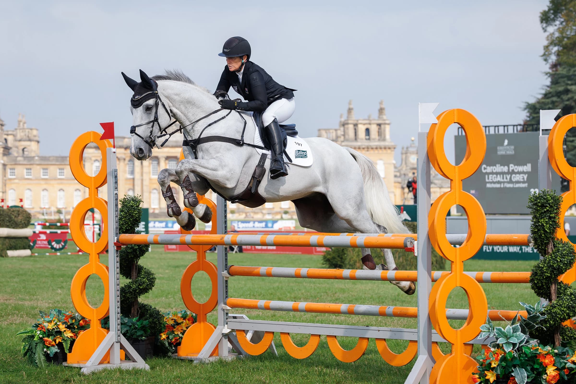 Horse jumping over barrier